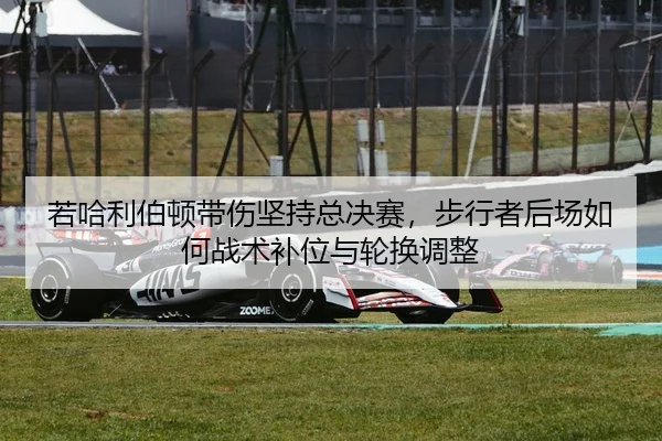 若哈利伯顿带伤坚持总决赛，步行者后场如何战术补位与轮换调整