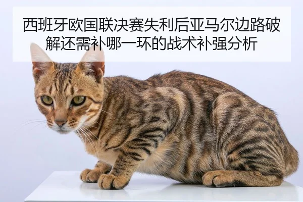 西班牙欧国联决赛失利后亚马尔边路破解还需补哪一环的战术补强分析